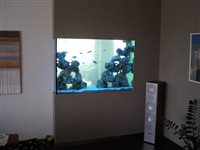 Akvárium 806L, rozmery 141x55x104cm